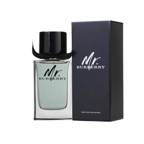 burberry mr burberry edt yorum|Burberry cologne for men.